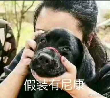 玩了几年摄影,收藏的有关各种摄影表情包,供大家欣赏