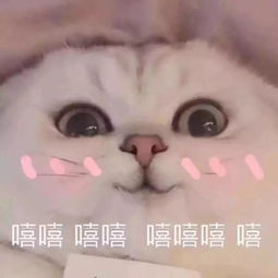 腹肌表情包可爱短发