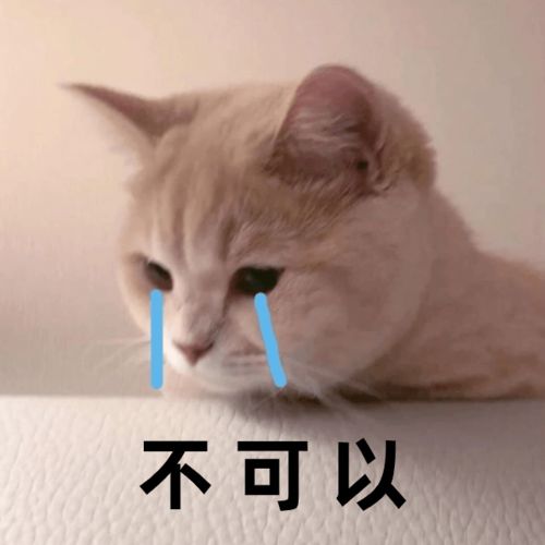  注意千万不要在网上搜索这句话