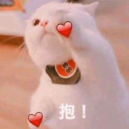  挑战杯开始啦,你知道怎么申报作品吗