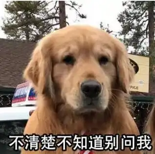  侃琴gibson的内心其实是拒绝lespaul的