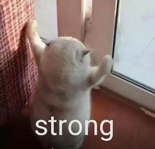  拿什么拯救你的黄牙