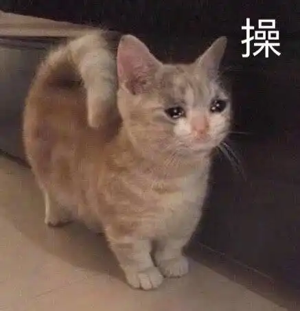  斗图表情包合集生活真的太苦了