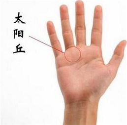  准五种预示着好财运的男人手相