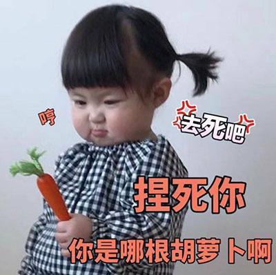 今日份搞笑表情包40张
