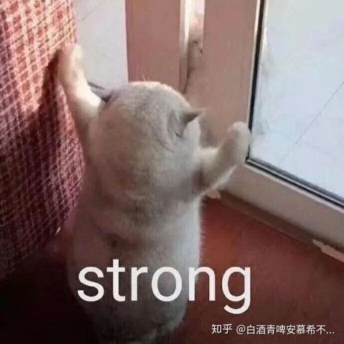 根本就不好玩表情包