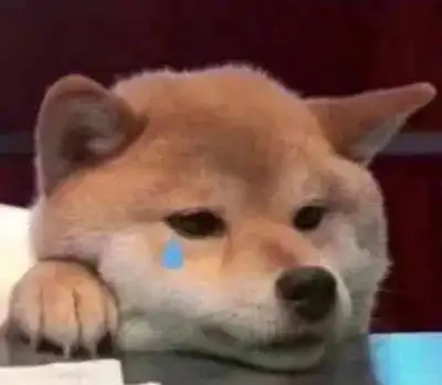 稳稳的接住柴犬表情包养