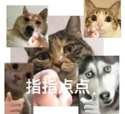  周杰伦有没有办法让我在mv里瘦一点拍摄团队有,加个郎朗