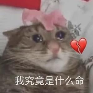  猪八戒系列真是童年经典,才发现除陶虹外,剧中还有很多美女
