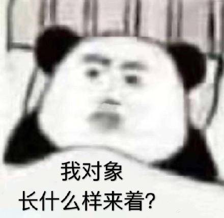  520情人节适合单身狗发的表情包