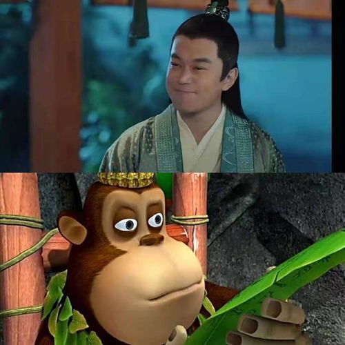  盘点赘婿中的黄金绿叶,吉吉国王父子最搞笑,秀念憨憨的
