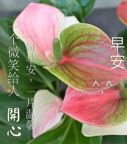  只要能够努力地活下去,一切都会好起来,早上好