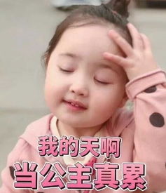  我的收藏夹