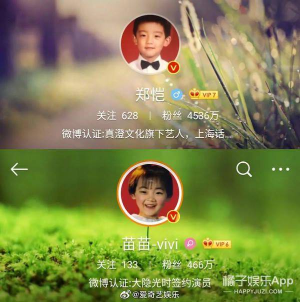  他俩也能嗑到了郑恺苗苗婚后事业大相径庭,美女别只顾着恋爱啊