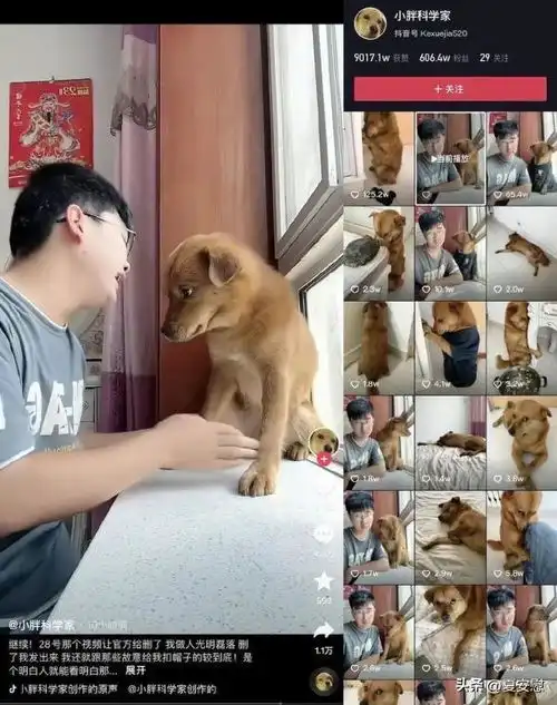  虐狗网红撂狠话账号在狗在网友求放过,疑似其母亲回应不放