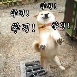  英语这个bug,你想怎么补
