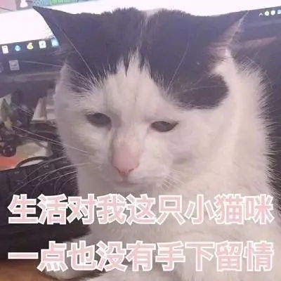  小巧的万能碗,帮你控制家里的各种设备
