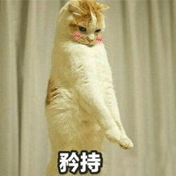  9个好看又百搭的包包,走心不撞款,拒绝烂大街