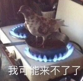  不正经新闻第69期我们非酋疯起来是很可怕的