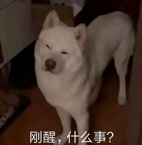  哔哩哔哩专栏