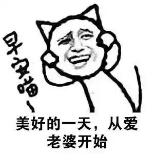 老公赚钱表情包妻奴