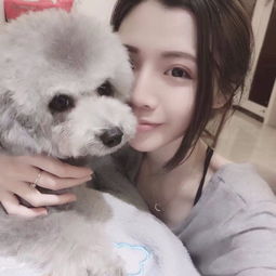 最适合美女饲养的狗狗,泰迪是当之无愧的第一,金毛只能排第二