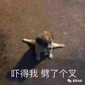  已扫雷,12月院线电影