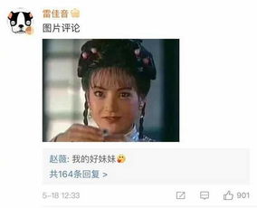  变身好姐妹雷佳音发小燕子表情包赵薇我的好妹妹