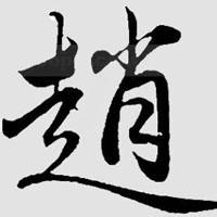 最闪耀的百家姓专属微信头像王微信头像图片大全