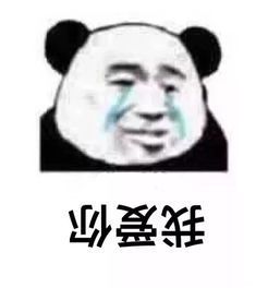  每日表情聊天贱贱表情