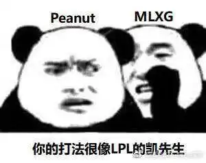  lpl洲际赛夺冠后,360度玩梗粉丝齐上线喂,你的表情包掉了,是你的才对