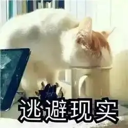  好气啊不怼回去还等着原地爆炸吗