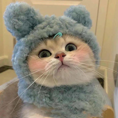 张姓独一无二的微信头像