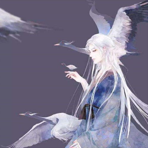  一本正连载慎勇流古典仙侠小说,不染凡尘赴玄路,炼道升仙卧月明