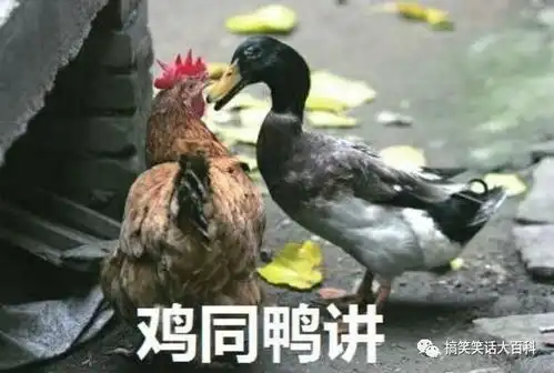  笑话去年有个女朋友,后来感情慢慢淡了,但是