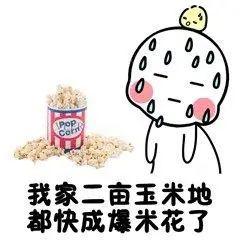  大反转平湖气温马上坐火箭直逼30,下周太刺激了