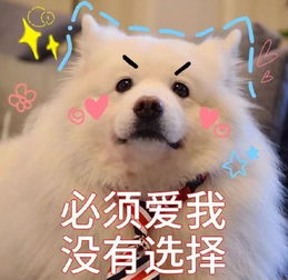  199块钱的大理石眼影盘,竟然有5000元大牌的质感,我不信