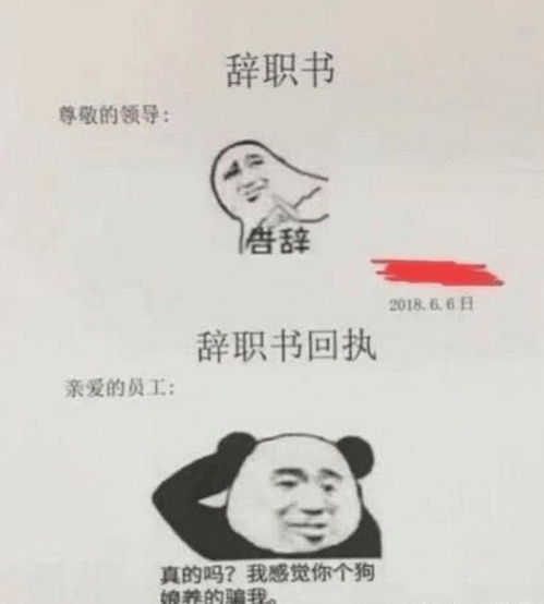  盘点90后辞职信,史上最简洁的辞职信,一个表情包表达全部