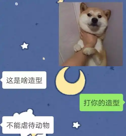  表情让爸妈看懂我的表情包怎么这么难孩子表情