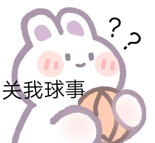  今日份的可爱表情包来啦,请你查收鸭