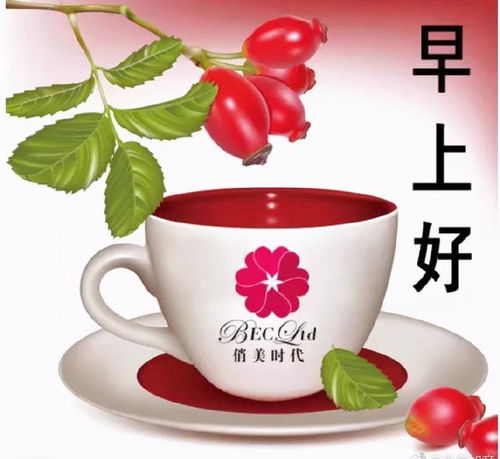  早上好表情包早安祝福问候语人生感悟经典语录