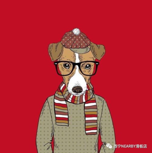  nearby滑板2018第一滑,新春大吉