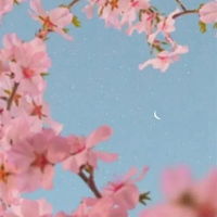  粉色简约图片小清新简单干净的图片唯美粉色