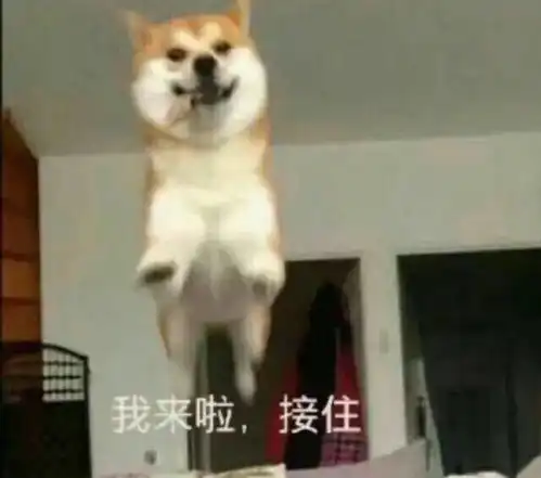  咸蛋黄控速来一口沦陷的流心酥饼,欲罢不能的滋味我懂了...