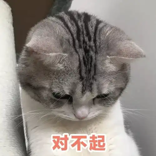  猫咪表情包我等的喵在多远的未来养猫