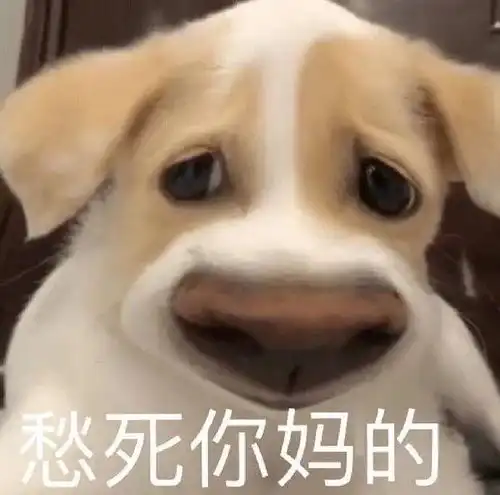  如何拒绝和朋友一起旅行