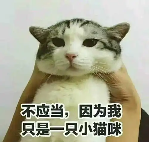  哟哦哦哦