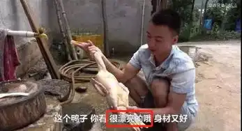  爆红的华农兄弟,视频点击量破2亿,我深挖了其中的吸粉秘籍