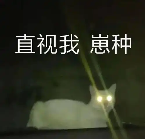  如何不上班,又有钱花丨第110期表情包