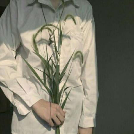 半身手捧花男头像高清
